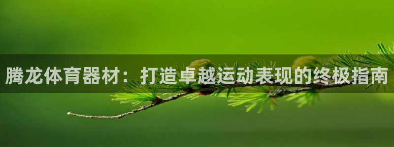 极悦娱乐app官方版本更新内容在哪