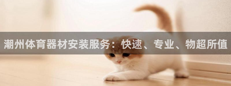 极悦娱乐管理最建议买吗：潮州体育器材安装服务：快速、