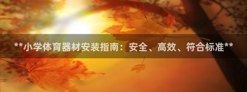 极悦平台注册申请流程详解：**小学体育器材安装指南：