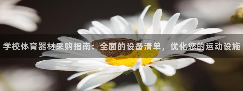 极悦平台和蓝狮平台区别是什么：学校体育器材采购指南：全面的设