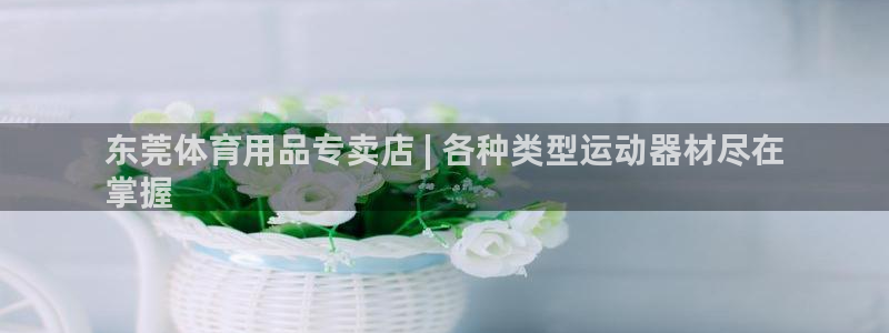 极悦平台注册申请流程详解图片：东莞体育用品专卖店 |