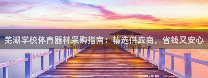 极悦娱乐会被骗吗是真的吗：芜湖学校体育器材采购指南：精选供应