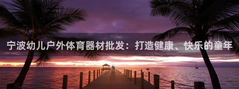 极悦平台注册流程详解视频：宁波幼儿户外体育器材批发：打造健康
