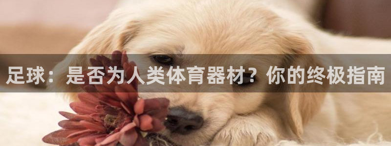极悦平台是正规平台吗安全吗是真的吗：足球：是否为人类体育器材