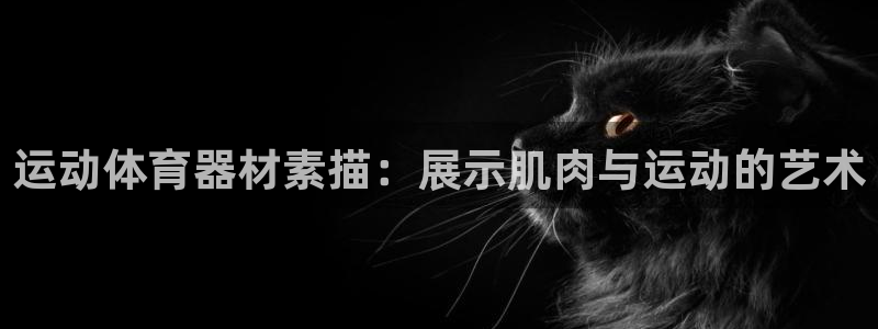 极悦娱乐挂机赚钱是真的吗安全吗：运动体育器材素描：展