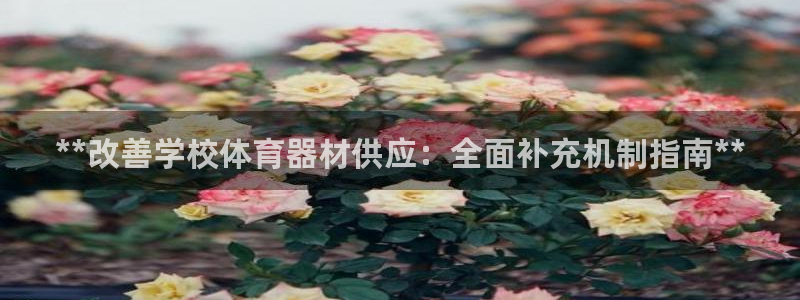 极悦平台官网登录网址：**改善学校体育器材供应：全面