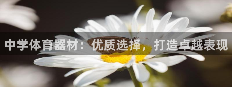 极悦娱乐会被骗吗知乎文章：中学体育器材：优质选择，打