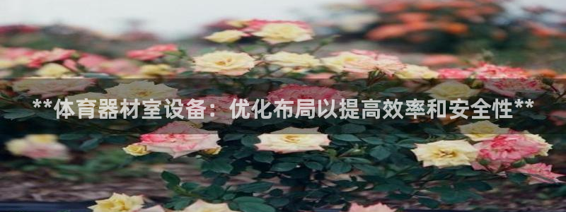 极悦娱乐代理多少钱一个月：**体育器材室设备：优化布