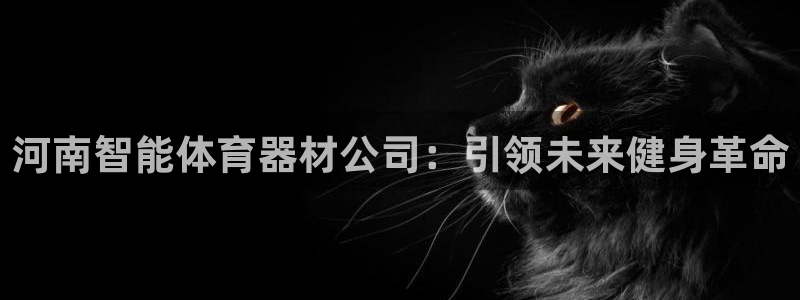 极悦平台注册流程详解：河南智能体育器材公司：引领未来