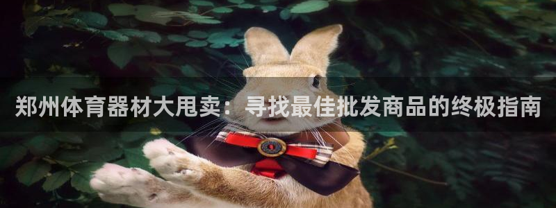 极悦娱乐官方网站入口：郑州体育器材大甩卖：寻找最佳批