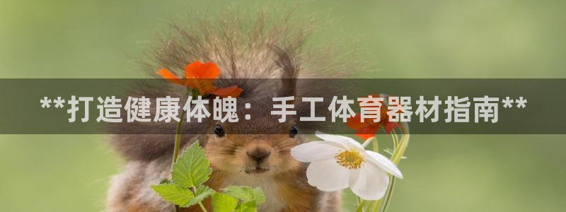 极悦娱乐部7O777：**打造健康体魄：手工体育器材