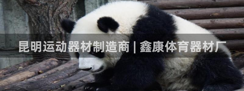 极悦娱乐官网入口网址：昆明运动器材制造商 | 鑫康体