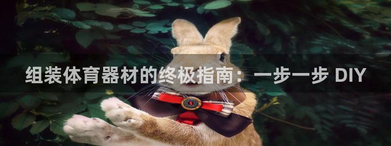 极悦平台是正规平台吗安全吗可靠吗：组装体育器材的终极