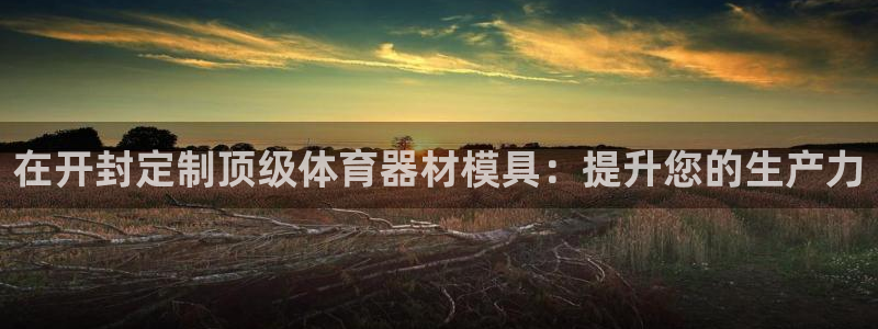 极悦娱乐官网入口网站：在开封定制顶级体育器材模具：提