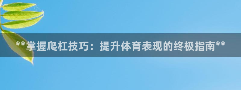 极悦平台用户反馈和反馈：**掌握爬杠技巧：提升体育表