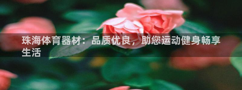 极悦平台登录不进去怎么回事：珠海体育器材：品质优良，