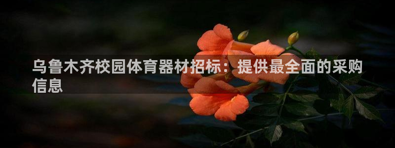 极悦娱乐股东结构：乌鲁木齐校园体育器材招标：提供最全