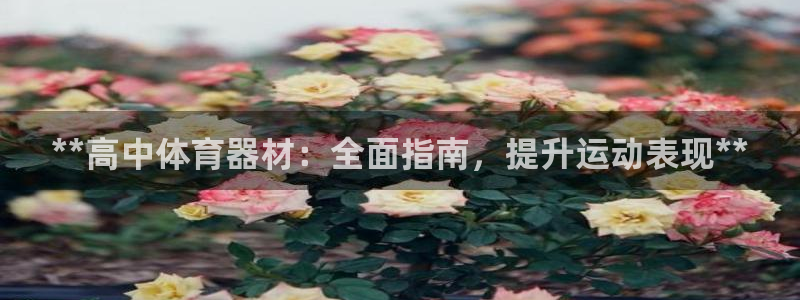 极悦平台使用教程：**高中体育器材：全面指南，提升运
