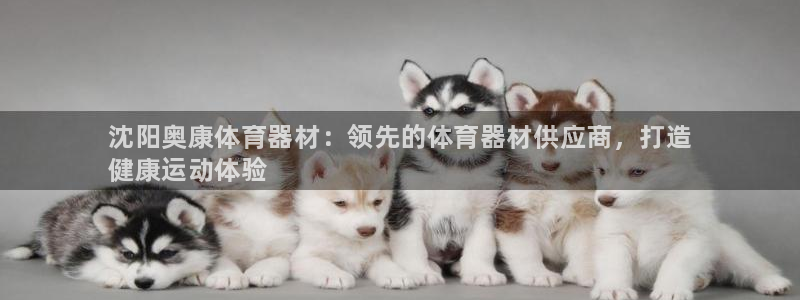 极悦平台注册官方网站下载安卓手机：沈阳奥康体育器材：