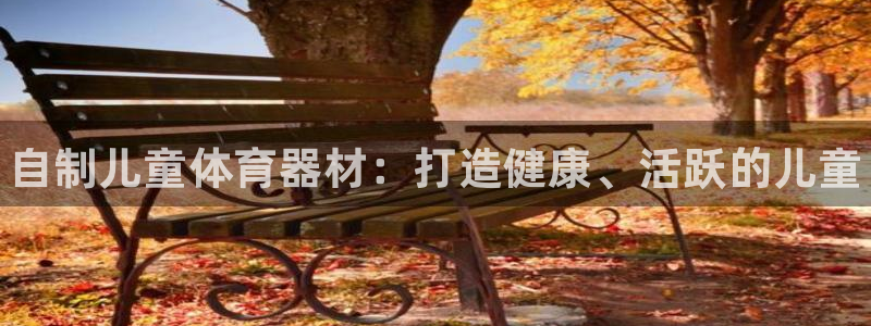 极悦平台官网登录不了：自制儿童体育器材：打造健康、活