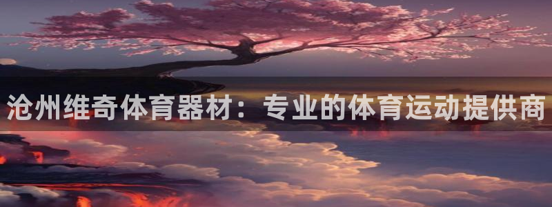 极悦平台注册用户名格式不正确：沧州维奇体育器材：专业