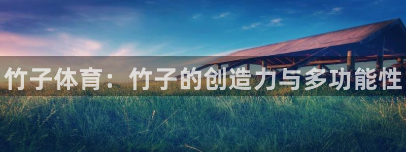 极悦平台注册的弊端及解决方法