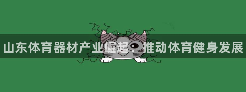 极悦平台和蓝狮平台区别是什么：山东体育器材产业崛起：