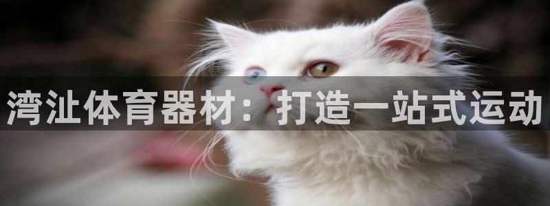 极悦生活家是什么平台的软件：湾沚体育器材：打造一站式