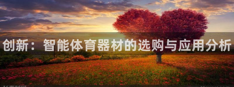 极悦娱乐负责人是谁：创新：智能体育器材的选购与应用分