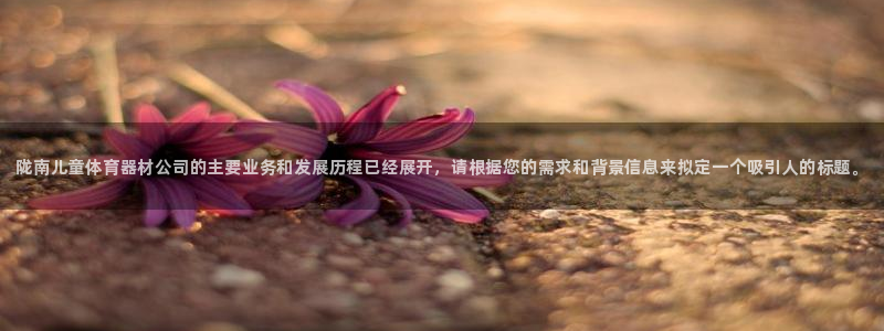 极悦平台客服投诉电话是多少号码：陇南儿童体育器材公司