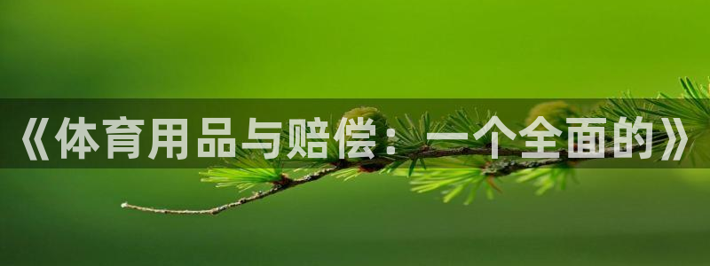 极悦娱乐app官方版本更新内容下载：《体育用品与赔偿