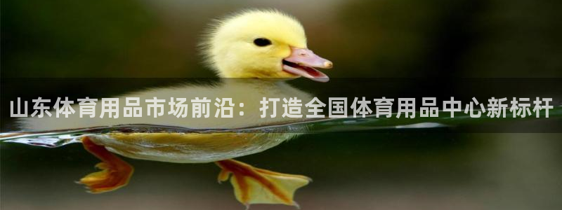 极悦官网下载最新版本更新内容视频:山东体育用品市场前沿:打造