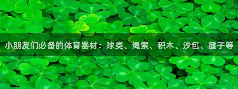 极悦平台注册登录入口网址:小朋友们必备的体育器材:球类、绳索